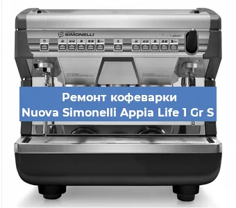 Ремонт капучинатора на кофемашине Nuova Simonelli Appia Life 1 Gr S в Ижевске